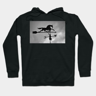 Racing the storm Hoodie